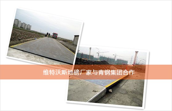 維特沃斯與青鋼合作 維特沃斯與青鋼合作