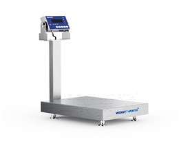 不銹鋼臺(tái)秤