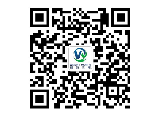 維特沃斯數(shù)字式汽車(chē)衡 維特沃斯數(shù)字式汽車(chē)衡