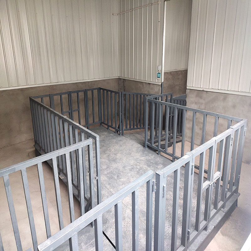 稱(chēng)豬地磅什么牌子好